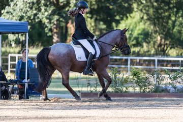 Bild 106 - Pony Akademie Turnier